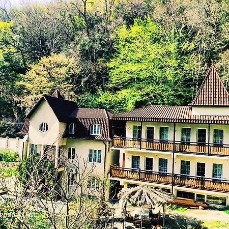 Guest House Chalet Agave ガグラ エクステリア 写真