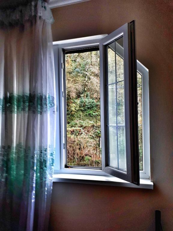 Guest House Chalet Agave ガグラ エクステリア 写真