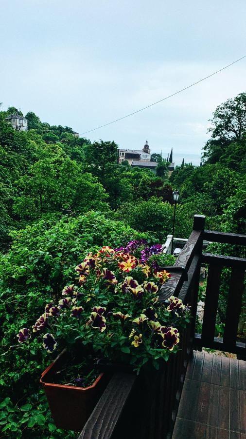 Guest House Chalet Agave ガグラ エクステリア 写真